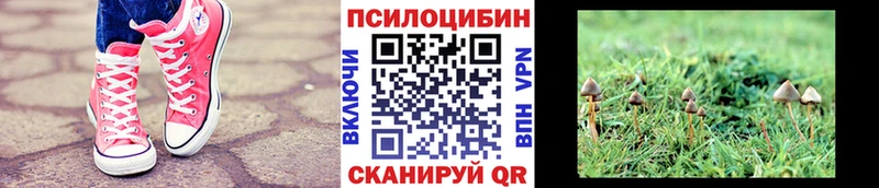Псилоцибиновые грибы MAGIC MUSHROOMS  Златоуст 